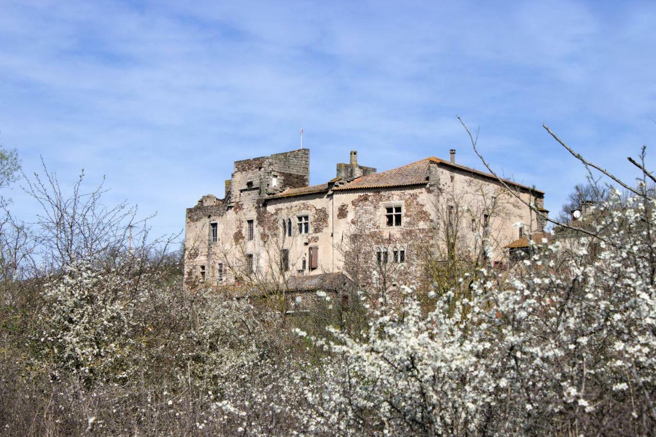 Chateau De Latour Sur Sorgue Marnhagues-et-Latour エクステリア 写真